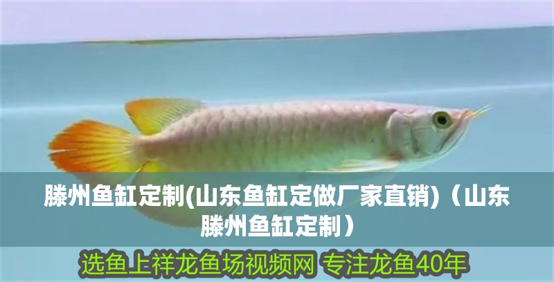 滕州魚缸定制(山東魚缸定做廠家直銷)（山東滕州魚缸定制）
