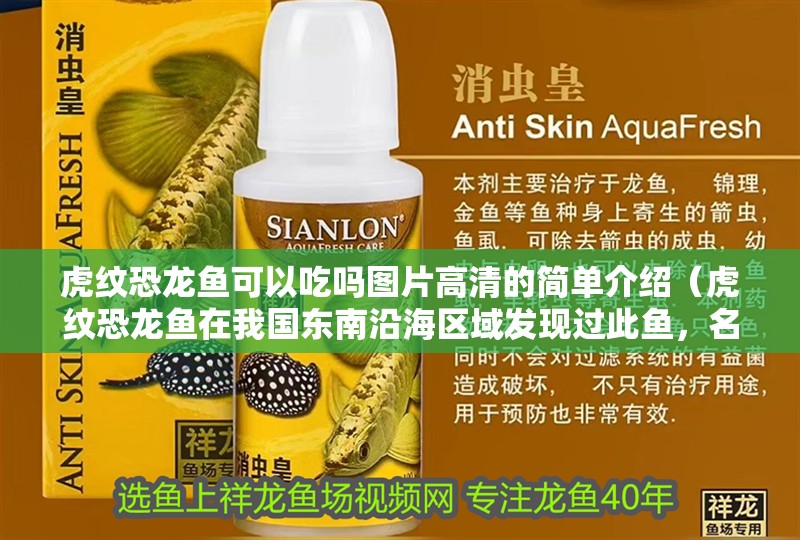 給大魚缸換水的作文:體驗給大魚缸換水的樂趣:體驗給大魚缸換水:給大魚缸換水的作文 虎紋恐龍魚可以吃嗎圖片高清的簡單介紹(虎紋恐龍魚在我國東南沿海區(qū)域發(fā)現(xiàn)過此魚,名稱綠鰭魚) 觀賞魚百科 虎紋恐龍魚可以吃嗎圖片高清的簡單介紹(虎紋恐龍魚在我國東南沿海區(qū)域發(fā)現(xiàn)過此魚,名稱綠鰭魚) 虎紋恐龍魚可以吃嗎圖片高清的簡單介紹(虎紋恐龍魚在我國東南沿海區(qū)域發(fā)現(xiàn)過此魚,名稱綠鰭魚) 觀賞魚百科