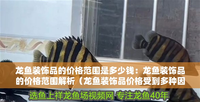 龍魚裝飾品的價格范圍是多少錢：龍魚裝飾品的價格范圍解析（龍魚裝飾品價格受到多種因素影響龍魚裝飾品價格受到多種因素影響）