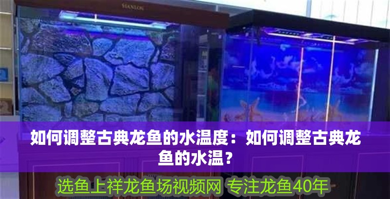 如何調(diào)整古典龍魚的水溫度：如何調(diào)整古典龍魚的水溫？