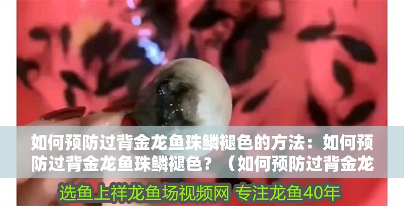 如何預防過背金龍魚珠鱗褪色的方法：如何預防過背金龍魚珠鱗褪色？（如何預防過背金龍魚珠鱗褪色）