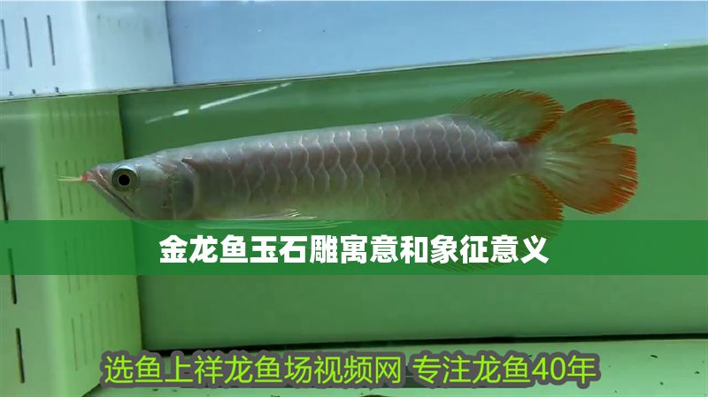 金龍魚玉石雕寓意和象征意義