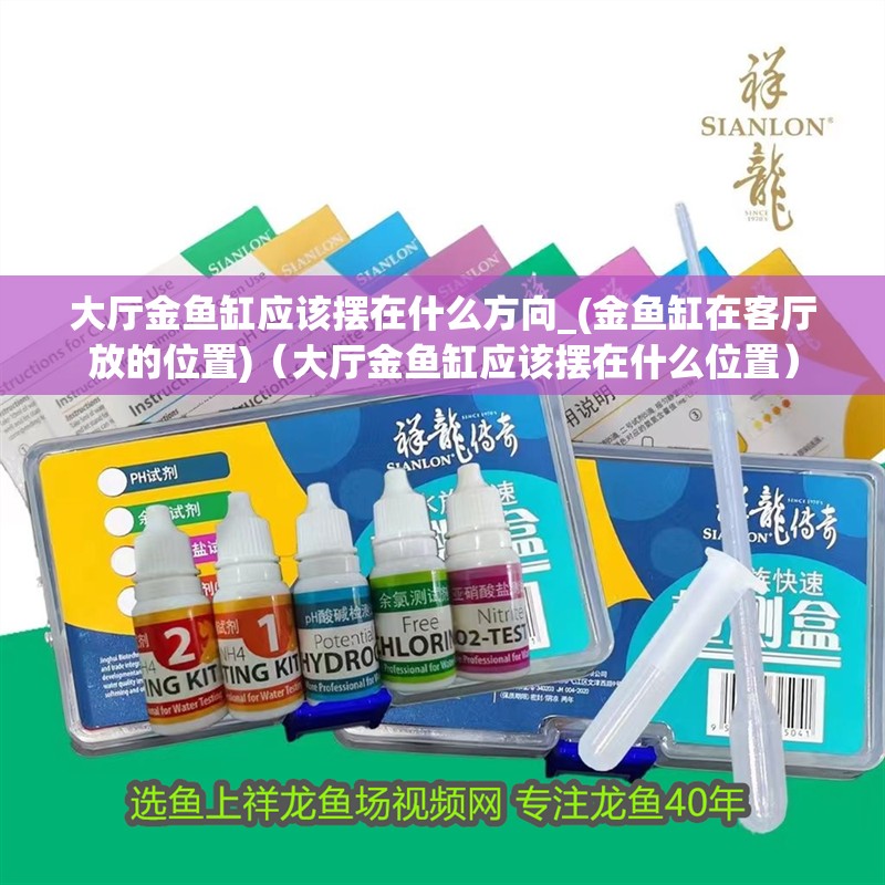 大廳金魚缸應該擺在什么方向_(金魚缸在客廳放的位置)（大廳金魚缸應該擺在什么位置）