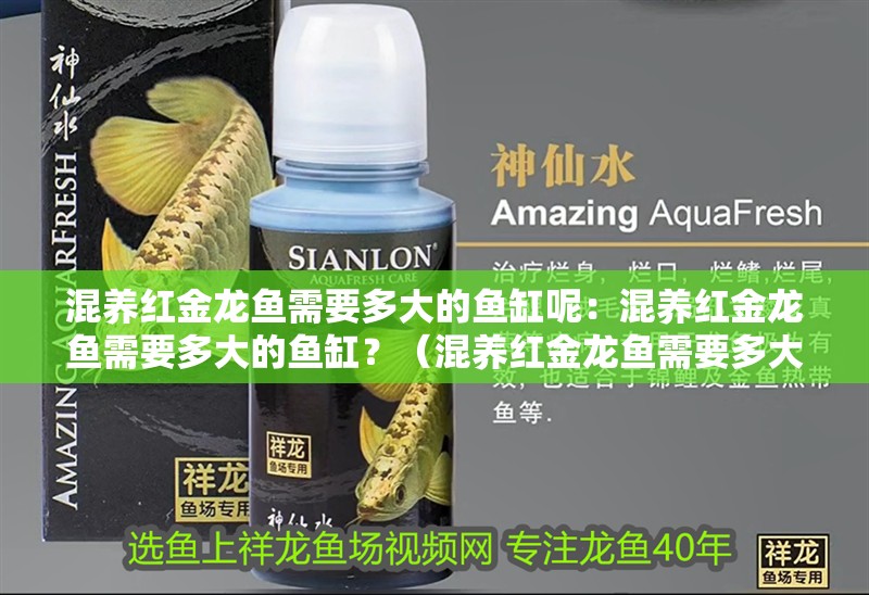 混養紅金龍魚需要多大的魚缸呢：混養紅金龍魚需要多大的魚缸？（混養紅金龍魚需要多大的魚缸大小和紅金龍魚的選擇）