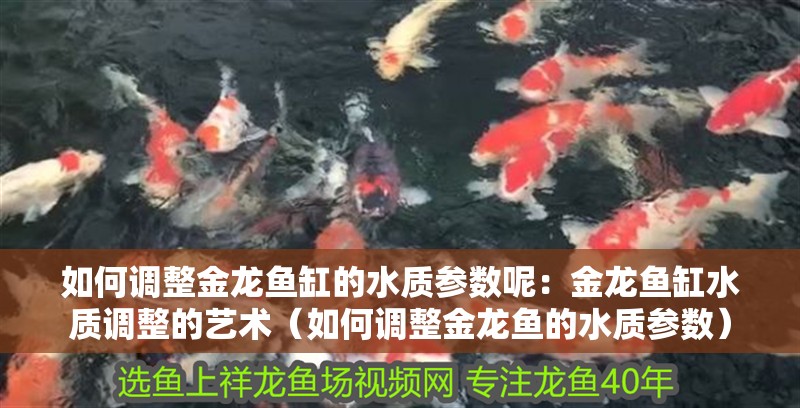如何調整金龍魚缸的水質參數呢：金龍魚缸水質調整的藝術（如何調整金龍魚的水質參數）
