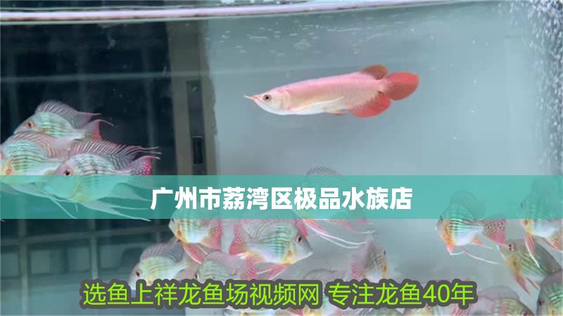 廣州市荔灣區(qū)極品水族店