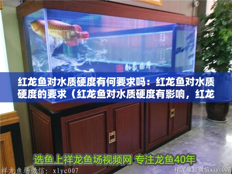 魚缸用增氧泵價格是多少:魚缸增氧機-xtrac增氧機-xtrac增氧機 紅龍魚對水質(zhì)硬度有何要求嗎:紅龍魚對水質(zhì)硬度的要求(紅龍魚對水質(zhì)硬度有影響,紅龍魚對水質(zhì)硬度有影響嗎) 水族問答 紅龍魚對水質(zhì)硬度有何要求嗎:紅龍魚對水質(zhì)硬度的要求(紅龍魚對水質(zhì)硬度有影響,紅龍魚對水質(zhì)硬度有影響嗎) 紅龍魚對水質(zhì)硬度有何要求嗎:紅龍魚對水質(zhì)硬度的要求(紅龍魚對水質(zhì)硬度有影響,紅龍魚對水質(zhì)硬度有影響嗎) 水族問答