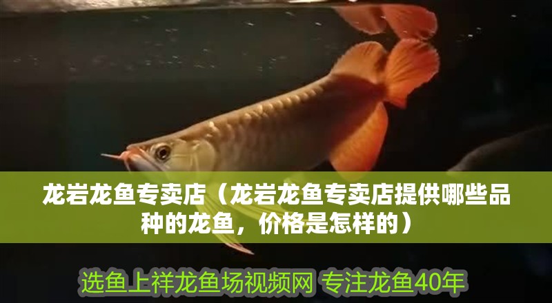 龍巖龍魚專賣店（龍巖龍魚專賣店提供哪些品種的龍魚，價格是怎樣的）