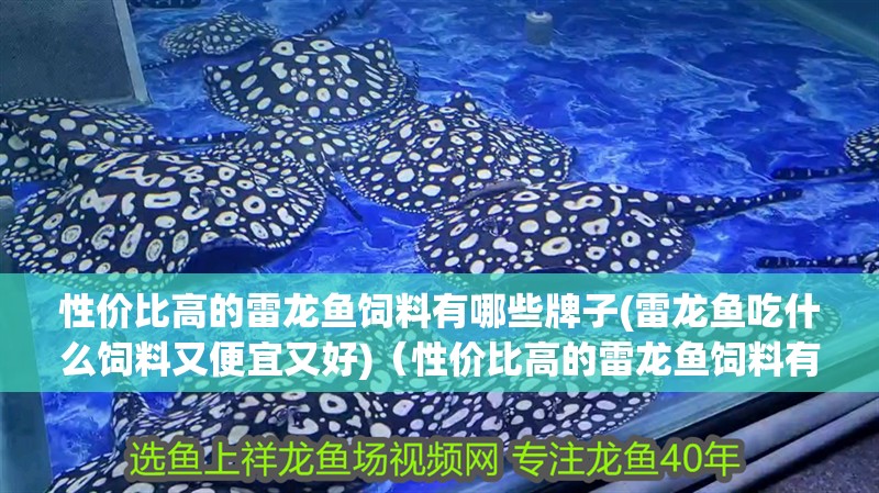 性價比高的雷龍魚飼料有哪些牌子(雷龍魚吃什么飼料又便宜又好)（性價比高的雷龍魚飼料有哪些牌子）