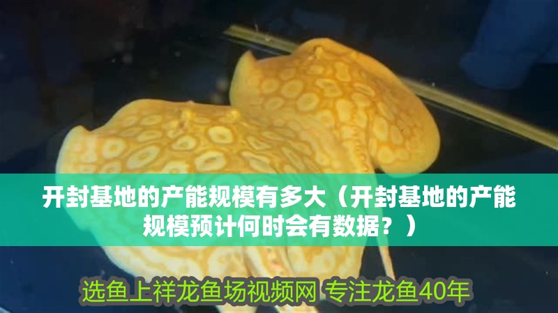 開封基地的產能規模有多大（開封基地的產能規模預計何時會有數據？）