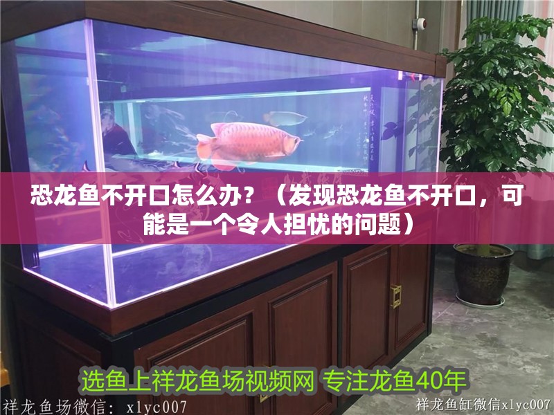 恐龍魚不開口怎么辦？（發現恐龍魚不開口，可能是一個令人擔憂的問題）