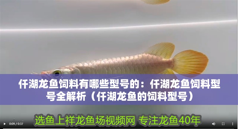 仟湖龍魚飼料有哪些型號的：仟湖龍魚飼料型號全解析（仟湖龍魚的飼料型號）
