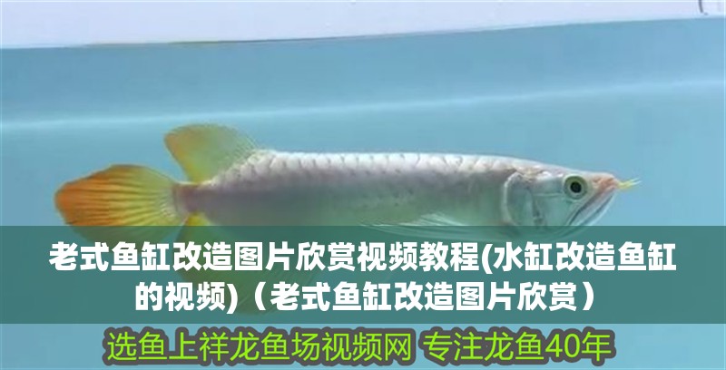 老式魚缸改造圖片欣賞視頻教程(水缸改造魚缸的視頻)（老式魚缸改造圖片欣賞） 老式魚缸改造圖片欣賞視頻教程(水缸改造魚缸的視頻)（老式魚缸改造圖片欣賞） 觀賞魚百科
