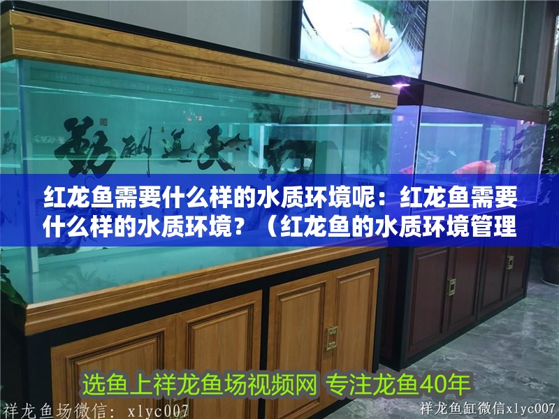紅龍魚需要什么樣的水質環(huán)境呢：紅龍魚需要什么樣的水質環(huán)境？（紅龍魚的水質環(huán)境管理）