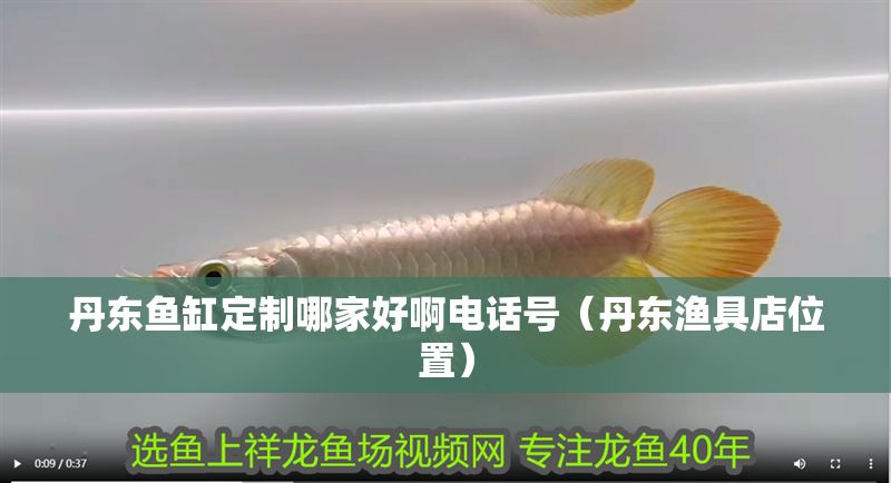 丹東魚缸定制哪家好啊電話號（丹東漁具店位置）