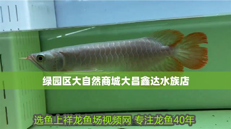 綠園區大自然商城大昌鑫達水族店
