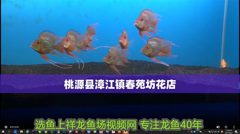 桃源縣漳江鎮(zhèn)春苑坊花店