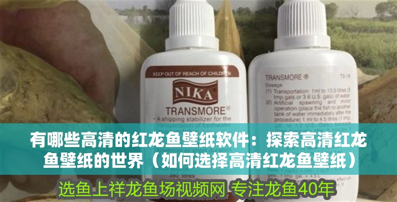 有哪些高清的紅龍魚壁紙軟件：探索高清紅龍魚壁紙的世界（如何選擇高清紅龍魚壁紙）