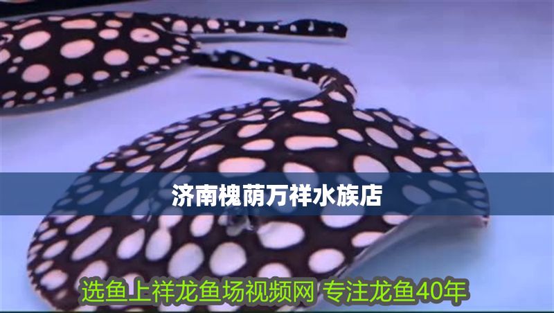 濟(jì)南槐蔭萬(wàn)祥水族店