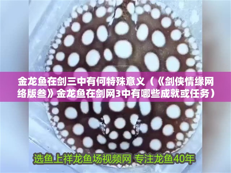 金龍魚在劍三中有何特殊意義（《劍俠情緣網(wǎng)絡(luò)版叁》金龍魚在劍網(wǎng)3中有哪些成就或任務(wù)）