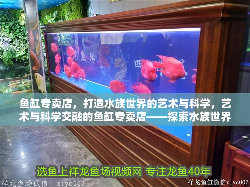 魚缸專賣店，打造水族世界的藝術與科學，藝術與科學交融的魚缸專賣店——探索水族世界的無限魅力