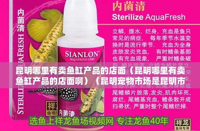 昆明哪里有賣魚缸產品的店面（昆明哪里有賣魚缸產品的店面啊）（昆明寵物市場是昆明市最大的水族市場之一）