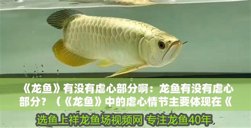 《龍魚》有沒有虐心部分啊：龍魚有沒有虐心部分？（《龍魚》中的虐心情節(jié)主要體現(xiàn)在《龍魚》中的虐心情節(jié)）