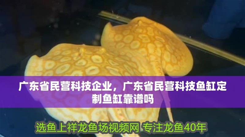 廣東省民營科技企業，廣東省民營科技魚缸定制魚缸靠譜嗎