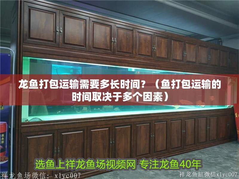 龍魚(yú)打包運(yùn)輸需要多長(zhǎng)時(shí)間？（魚(yú)打包運(yùn)輸?shù)臅r(shí)間取決于多個(gè)因素）