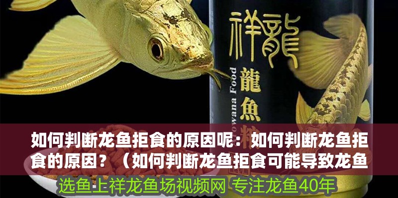 如何判斷龍魚拒食的原因呢：如何判斷龍魚拒食的原因？（如何判斷龍魚拒食可能導致龍魚拒食的可能原因是什么）