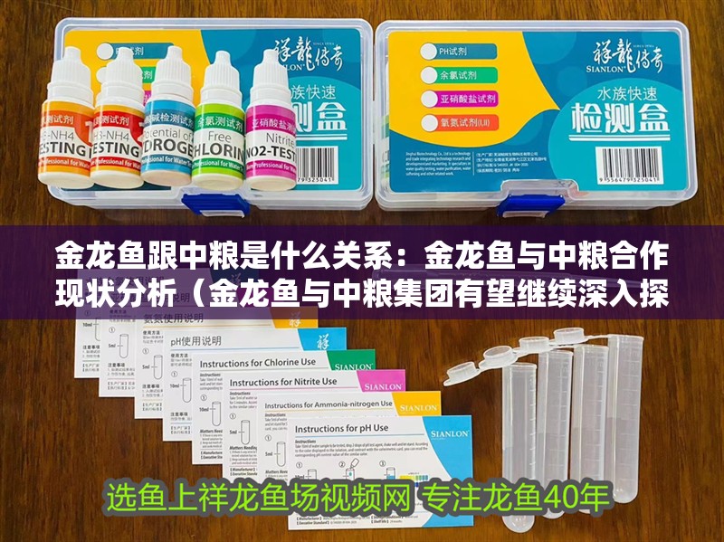 金龍魚跟中糧是什么關系：金龍魚與中糧<strong><mark>合作</mark></strong>現狀分析（金龍魚與中糧集團有望繼續深入探討金龍魚與中糧集團<strong><mark>合作</mark></strong>）