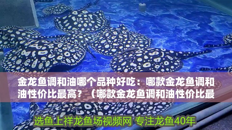 金龍魚調和油哪個品種好吃：哪款金龍魚調和油性價比最高？（哪款金龍魚調和油性價比最高）