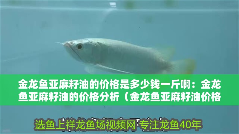 金龍魚亞麻籽油的價(jià)格是多少錢一斤啊：金龍魚亞麻籽油的價(jià)格分析（金龍魚亞麻籽油價(jià)格波動(dòng)影響金龍魚亞麻籽油價(jià)格波動(dòng)）