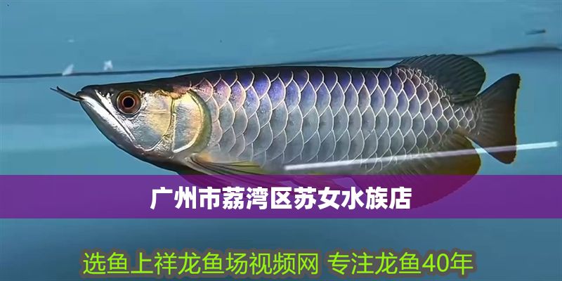 廣州市荔灣區蘇女水族店