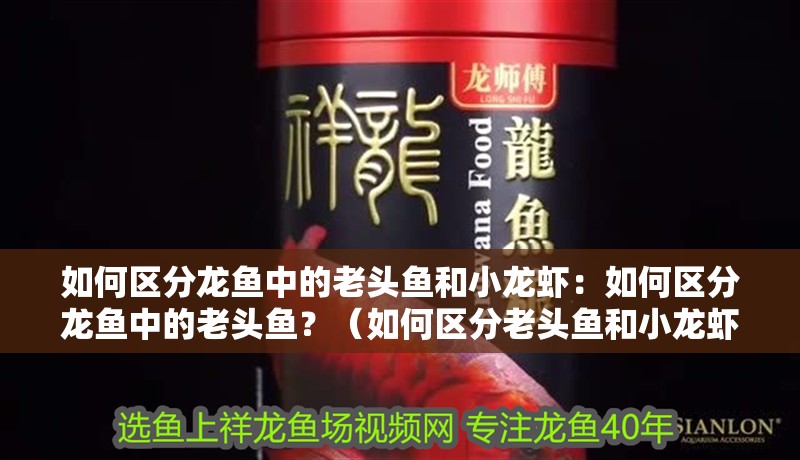 如何區分龍魚中的老頭魚和小龍蝦：如何區分龍魚中的老頭魚？（如何區分老頭魚和小龍蝦）