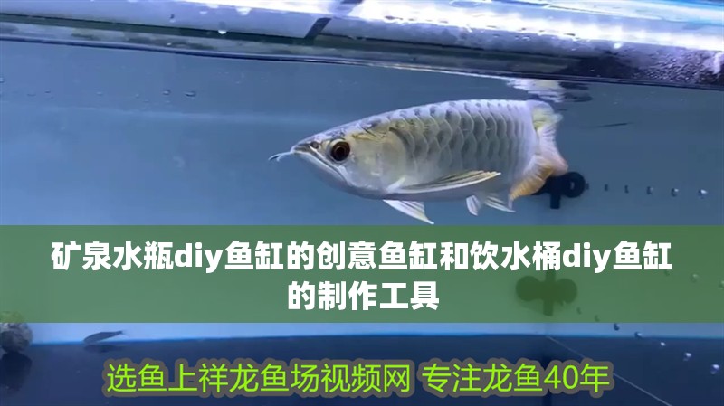 礦泉水瓶diy魚缸的創意魚缸和飲水桶diy魚缸的制作工具