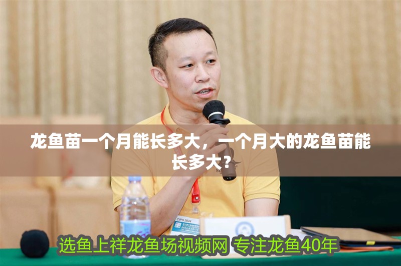 龍魚苗一個月能長多大，一個月大的龍魚苗能長多大？