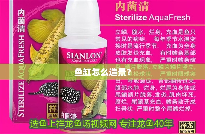 魚缸怎么造景？