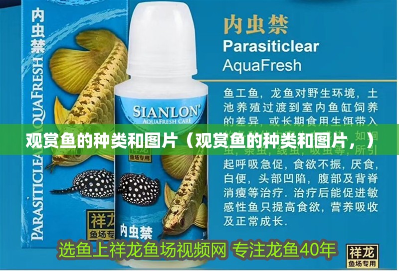 觀賞魚的種類和圖片（觀賞魚的種類和圖片，）