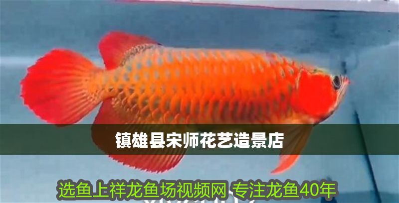 鎮雄縣宋師花藝造景店 全國水族館企業名錄 第1張 鎮雄縣宋師花藝造景店 鎮雄縣宋師花藝造景店 全國水族館企業名錄 第1張