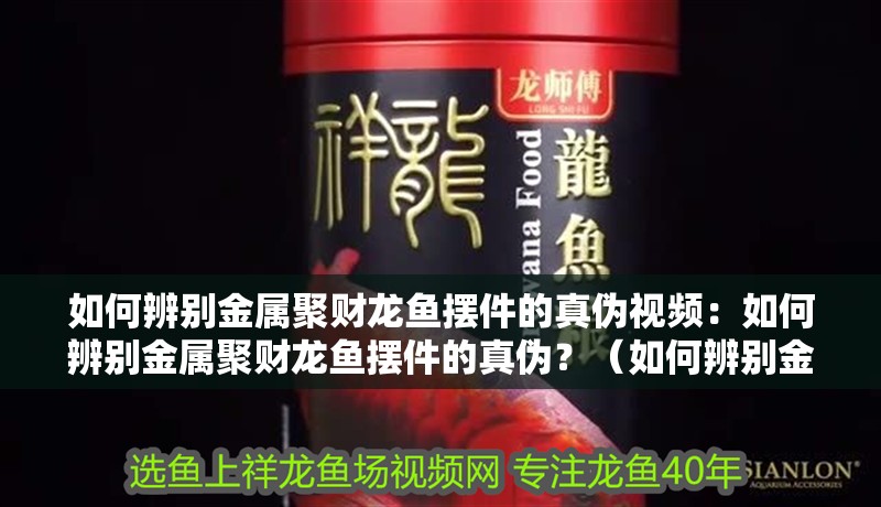 如何辨別金屬聚財龍魚擺件的真偽視頻：如何辨別金屬聚財龍魚擺件的真偽？（如何辨別金屬聚財龍魚擺件的真偽）