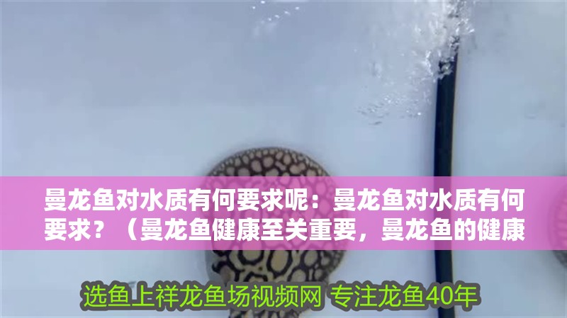 曼龍魚對水質有何要求呢：曼龍魚對水質有何要求？（曼龍魚健康至關重要，曼龍魚的健康至關重要，曼龍魚對水質的要求）