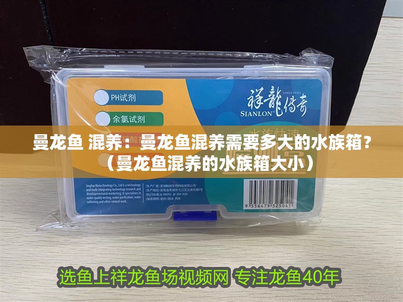 曼龍魚 混養：曼龍魚混養需要多大的水族箱？（曼龍魚混養的水族箱大小）