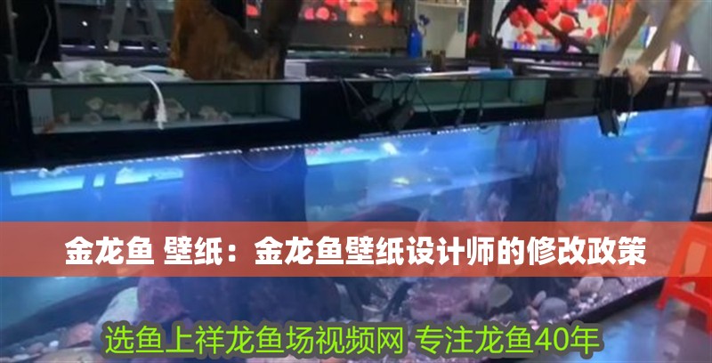 金龍魚 壁紙：金龍魚壁紙設計師的修改政策