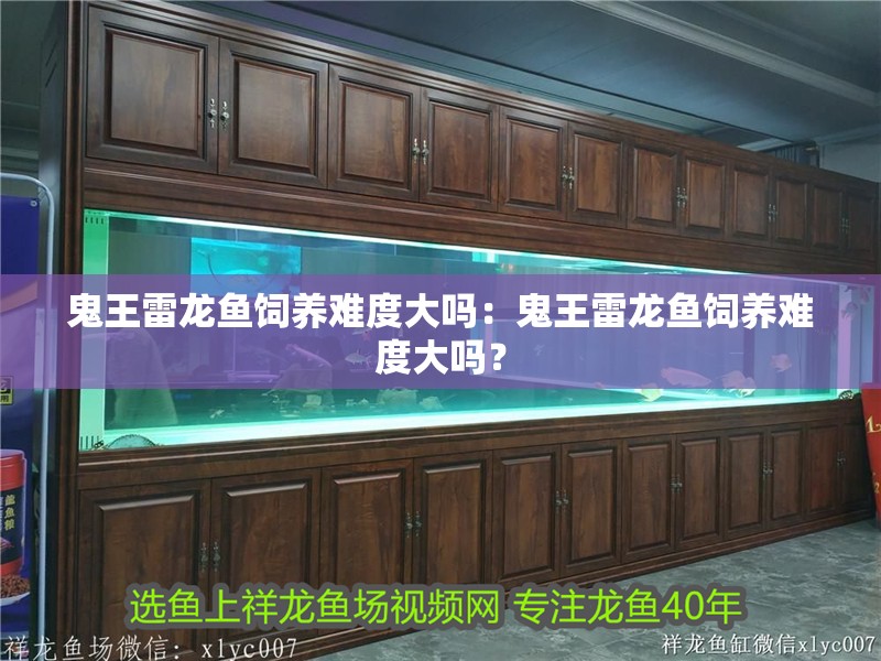 鬼王雷龍魚飼養難度大嗎：鬼王雷龍魚飼養難度大嗎？
