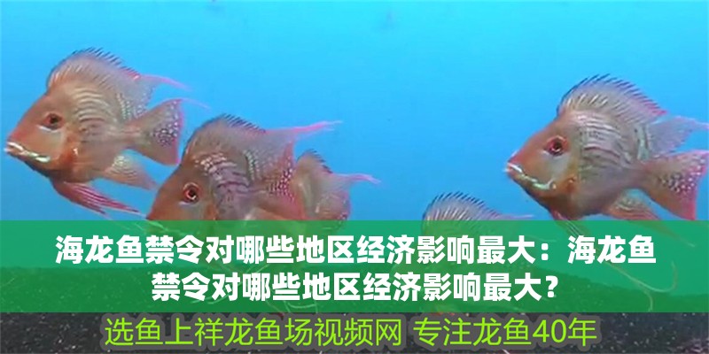 海龍魚禁令對哪些地區(qū)經(jīng)濟(jì)影響最大：海龍魚禁令對哪些地區(qū)經(jīng)濟(jì)影響最大？