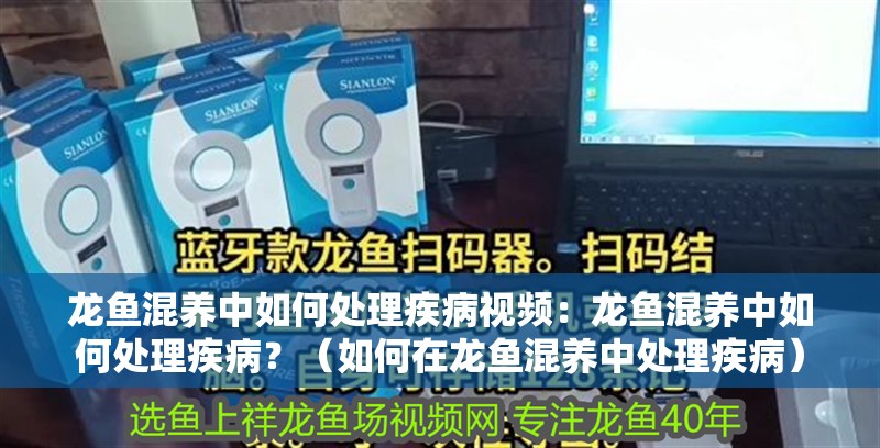 龍魚混養中如何處理疾病視頻：龍魚混養中如何處理疾病？（如何在龍魚混養中處理疾病）