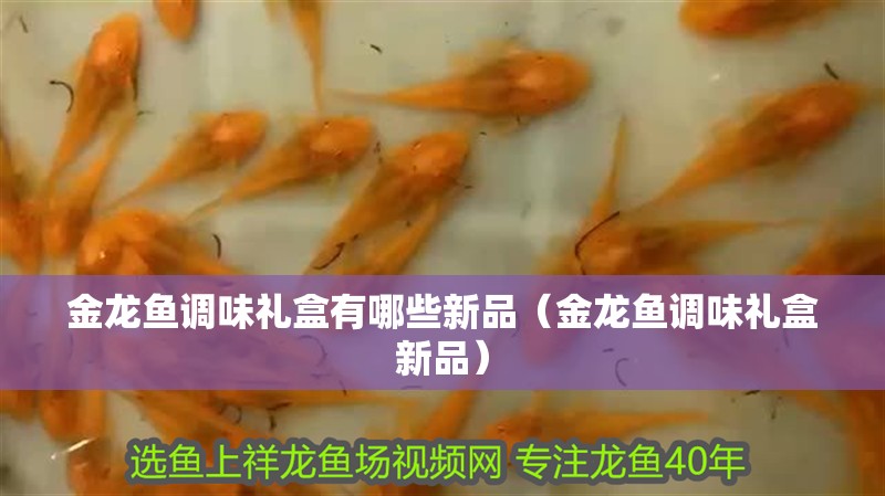 金龍魚調味禮盒有哪些新品（金龍魚調味禮盒新品）