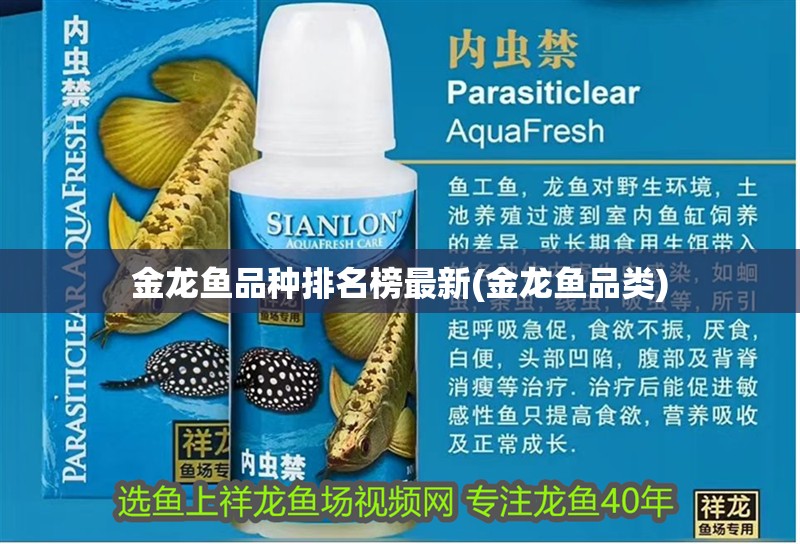 金龍魚品種排名榜最新(金龍魚品類)