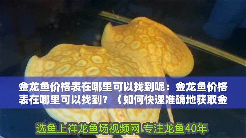 金龍魚價格表在哪里可以找到呢：金龍魚價格表在哪里可以找到？（如何快速準確地獲取金龍魚的價格表）